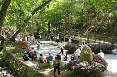 避暑游成新热门 罗山县迎来“最火”端午假期