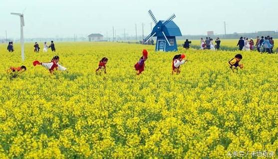 休闲农业与乡村旅游 田园中的诗意与活力