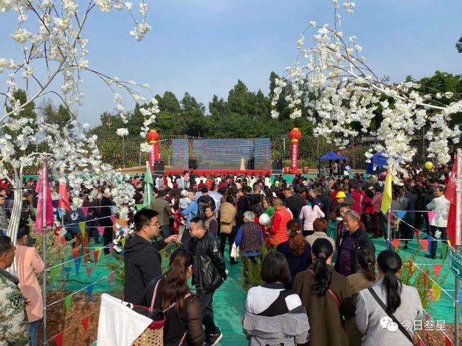 脱贫成果飘香，田园乐趣共享——三星镇特色美食汇暨休闲观光体验活动